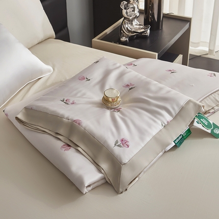 91家纺网 家纺一手货源 找家纺 （总）麦肯锡家居  2025新款天丝雪绒单夏被