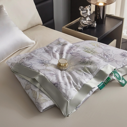 麦肯锡家居  2025新款天丝雪绒单夏被 芳华