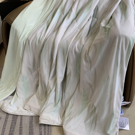 奈萝家纺 2025新款A类凉感丝小凉皮夏被可机洗夏被新品空调被 羽毛绿