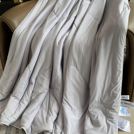 奈萝家纺 2025新款A类凉感丝小凉皮夏被可机洗夏被新品空调被 幽兰拿铁