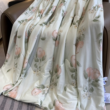 奈萝家纺 2025新款A类凉感丝小凉皮夏被可机洗夏被新品空调被 香梨