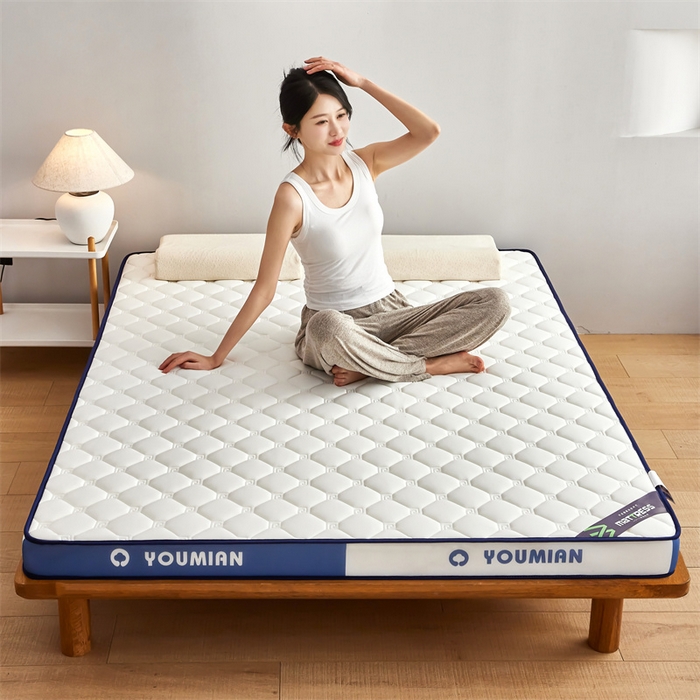 91家纺网 家纺一手货源 找家纺 优承佳生活馆（床垫） 2025新款字母牛奶丝双边乳胶床垫 蓝白字母-菱形