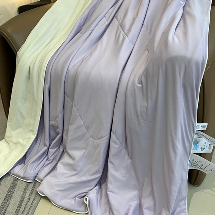 91家纺网 家纺一手货源 找家纺 （总）奈萝家纺 2025新款A类凉感丝小凉皮夏被可机洗夏被新品空调被