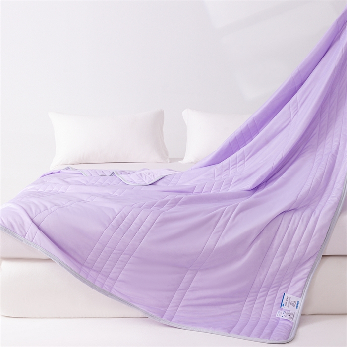 91家纺网 家纺一手货源 找家纺 梵心家纺2025新款简约冰激凌凉感丝夏被夏凉被空调被 紫色