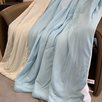 91家纺网 家纺一手货源 找家纺 （总）奈萝家纺 2025新款A类凉感丝小凉皮夏被可机洗夏被新品空调被
