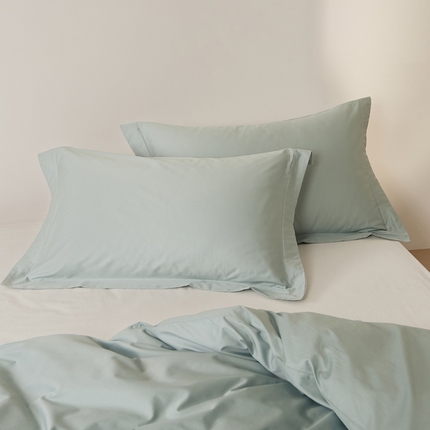 91家纺网 家纺一手货源 找家纺 （总）EH家居2025新款50*50双股长绒棉纯棉系列枕套单件-单枕套