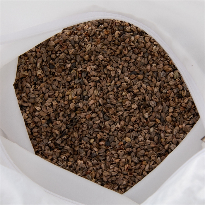 91家纺网 家纺一手货源 找家纺 大熊2025新款全棉水洗棉色织荞麦枕 宫廷荞麦枕-蓝40*60*9cm