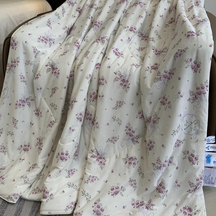 91家纺网 家纺一手货源 找家纺 （总）奈萝家纺 2025新款A类凉感丝小凉皮夏被可机洗夏被新品空调被