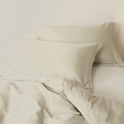 91家纺网 家纺一手货源 找家纺 （总）EH家居2025新款50*50双股长绒棉纯棉系列枕套单件-单枕套