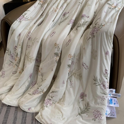 91家纺网 家纺一手货源 找家纺 （总）奈萝家纺 2025新款A类凉感丝小凉皮夏被可机洗夏被新品空调被