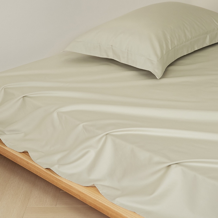 91家纺网 家纺一手货源 找家纺 EH家居2025新款50*50双股长绒棉纯棉系列床单单件-单床单 初雪咖