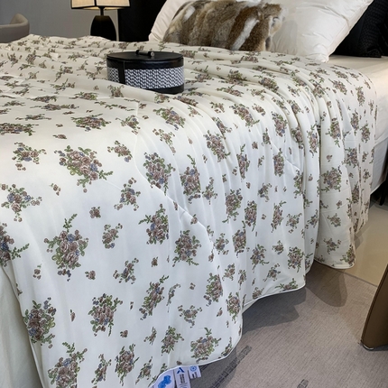 奈萝家纺 2025新款A类凉感丝小凉皮夏被可机洗夏被新品空调被 碎花情怀