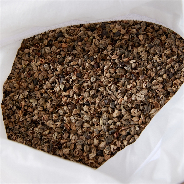 91家纺网 家纺一手货源 找家纺 大熊2025新款全棉水洗棉色织荞麦枕 宫廷荞麦枕-咖40*60*9cm