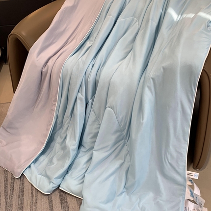 91家纺网 家纺一手货源 找家纺 （总）奈萝家纺 2025新款A类凉感丝小凉皮夏被可机洗夏被新品空调被