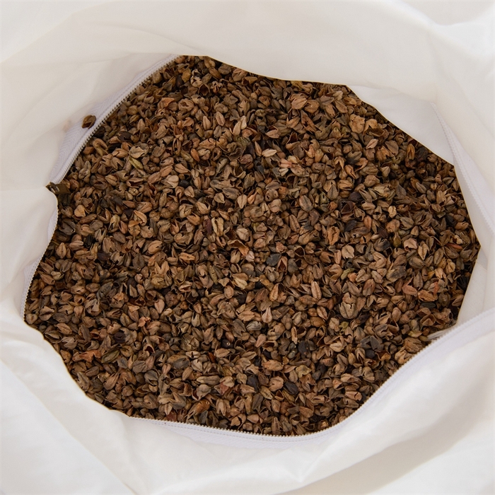 91家纺网 家纺一手货源 找家纺 大熊2025新款全棉水洗棉色织荞麦枕 宫廷荞麦枕-绿40*60*9cm