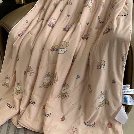 91家纺网 家纺一手货源 找家纺 （总）奈萝家纺 2025新款A类凉感丝小凉皮夏被可机洗夏被新品空调被