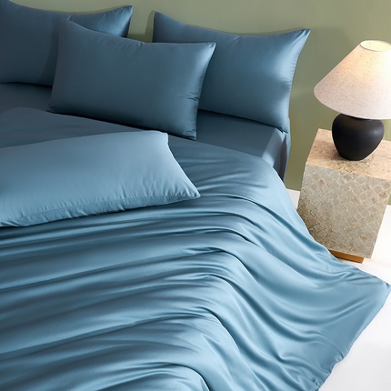 闲鱼家纺 2025春夏新款小黑标60全棉纯棉四件套系列场景2 单被套被套单件 北欧蓝