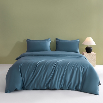 91家纺网 家纺一手货源 找家纺 （总）闲鱼家纺 2025春夏新款小黑标60全棉纯棉四件套系列场景2 单被套被套单件