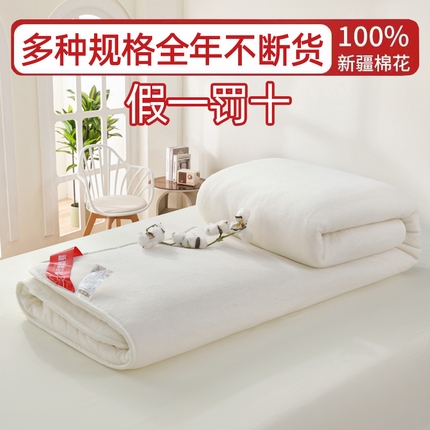 91家纺网 家纺一手货源 找家纺 （总）玉相逢  2025新款100%新疆棉花被棉絮棉花被床垫床褥