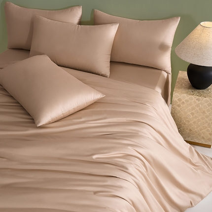 闲鱼家纺 2025春夏新款小黑标60全棉纯棉四件套系列场景2 单被套被套单件 奶咖杏