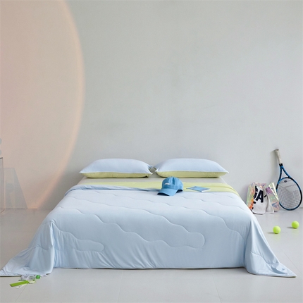 91家纺网 家纺一手货源 找家纺 （总）头等舱  2025新款4.0版凉感A类锦氨（165克）55大豆抗菌夏被配礼盒