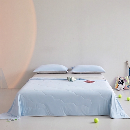 91家纺网 家纺一手货源 找家纺 （总）头等舱  2025新款4.0版凉感A类锦氨（165克）55大豆抗菌夏被配礼盒