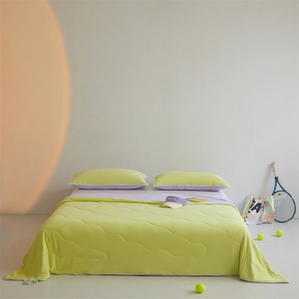 91家纺网 家纺一手货源 找家纺 （总）头等舱  2025新款4.0版凉感A类锦氨（165克）55大豆抗菌夏被配礼盒