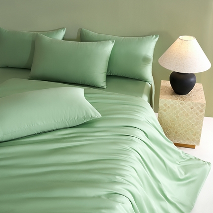 闲鱼家纺 2025春夏新款小黑标60全棉纯棉四件套系列场景2 单被套被套单件 翠微绿