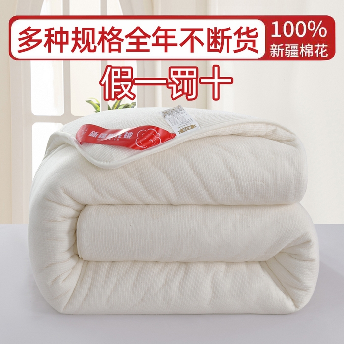 91家纺网 家纺一手货源 找家纺 （总）玉相逢  2025新款100%新疆棉花被棉絮棉花被全棉被芯