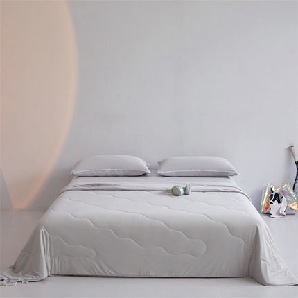 91家纺网 家纺一手货源 找家纺 （总）头等舱  2025新款4.0版凉感A类锦氨（165克）55大豆抗菌夏被配礼盒