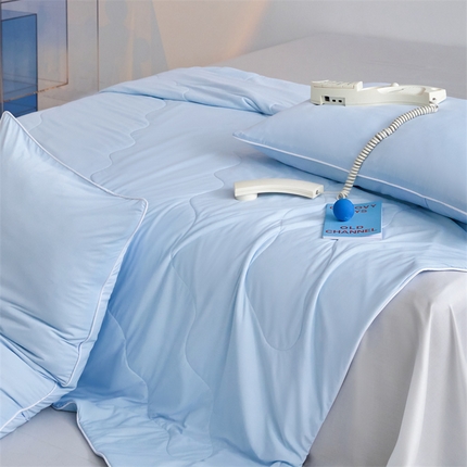 头等舱  2025新款4.0版凉感A类锦氨（165克）55大豆抗菌夏被配礼盒 典雅兰