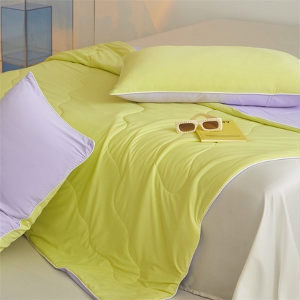 头等舱  2025新款4.0版凉感A类锦氨（165克）55大豆抗菌夏被配礼盒 黄绿拼嫣然紫