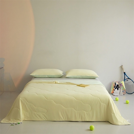 91家纺网 家纺一手货源 找家纺 （总）头等舱  2025新款4.0版凉感A类锦氨（165克）55大豆抗菌夏被配礼盒