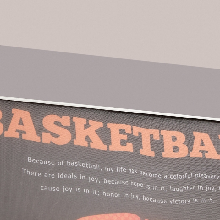 91家纺网 家纺一手货源 找家纺 宅部落 2025新款学生床帘宿舍上下铺床帘式印花强遮光学生蚊帐-印花系 篮球火