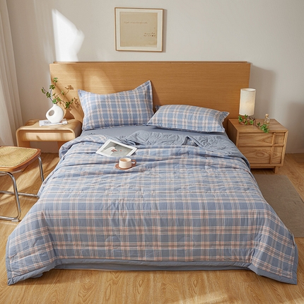 西域种棉人·千百笠 2025新款A类100%新疆棉花夏凉被纯棉全棉填充原棉空调被手工宽边水洗棉夏被 罗宾格