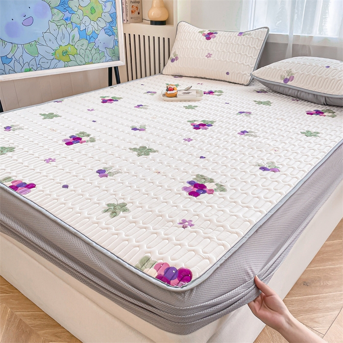 91家纺网 家纺一手货源 找家纺 布卢姆床垫 2025新款5mmA类乳胶凉席床笠套件夏被组合 葡萄乐园