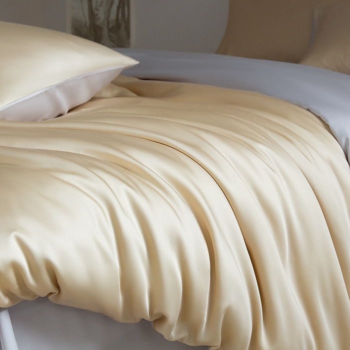 91家纺网 家纺一手货源 找家纺 云栖家居 202560支兰精天丝纯拼色四件套 香槟银灰