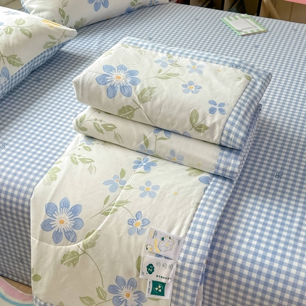 典曼家纺 2025春夏新款印花卡通夏被夏凉被空调被 朝花夕拾