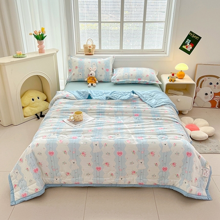 （总）西域种棉人·千百笠 2025新款A类新疆棉花夏凉被加宽包边水洗棉卡通印花吸湿透气棉花夏被空调被