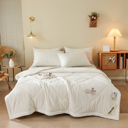 西域种棉人·千百笠 2025新款A类100%新疆棉花夏凉被纯棉全棉填充毛巾绣绣花纯色双拼原棉空调被夏被 贵族白
