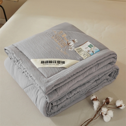 91家纺网 家纺一手货源 找家纺 西域种棉人·千百笠 2025新款A类100%新疆棉花夏凉被纯棉全棉填充毛巾绣绣花纯色双拼原棉空调被夏被 贵族灰