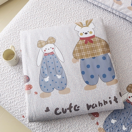 91家纺网 家纺一手货源 找家纺 丫丫家纺 2025新款直播热款60天丝夏被大版卡通天丝棉夏凉被空调被被子被芯 兔欧巴兔欧尼