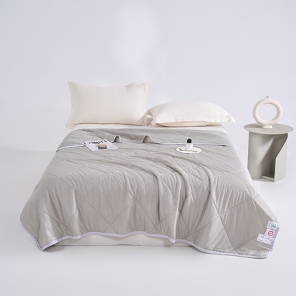 91家纺网 家纺一手货源 找家纺 晚爱  2025A类氨纶凉感天丝夏被纯色印花冰淇淋夏凉被可机洗空调被 CS高级灰