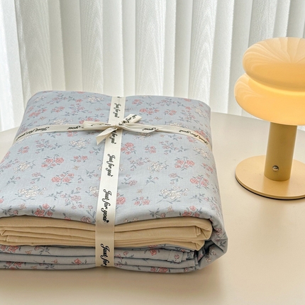 91家纺网 家纺一手货源 找家纺 塞纳 2025新款全棉有氧双层纱四件套-场景二-云纱-浅兰