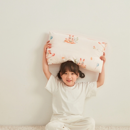 91家纺网 家纺一手货源 找家纺 （总）艾佳宝贝 2025新款A类全棉纯棉儿童单枕套多尺寸可拆式枕头