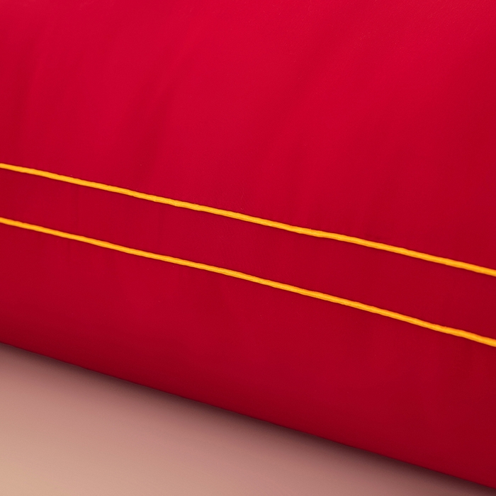 91家纺网 家纺一手货源 找家纺 三盛源 2025新款舒适亲肤长枕头枕芯 48*180cm长枕芯比翼双飞/只