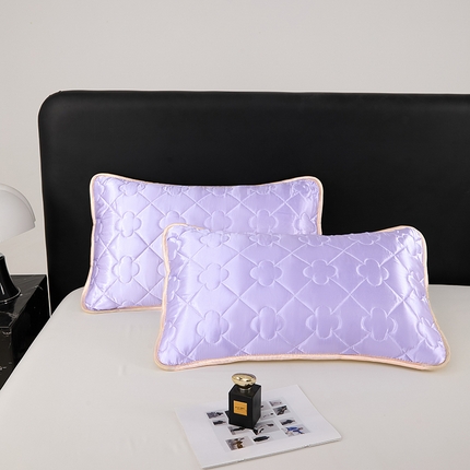 梦舒羽 2025新款夏季冰丝凉感夹棉枕套单人一对装可水洗加厚枕头套宿舍48x74cm枕芯套 夹棉加厚-雪青色