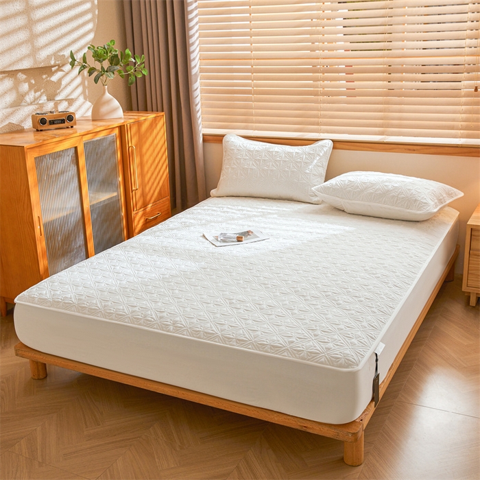 91家纺网 家纺一手货源 找家纺 3C 2025全棉蚕丝蛋白夹棉床笠 天星花-云朵白