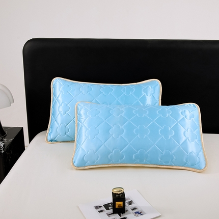 梦舒羽 2025新款夏季冰丝凉感夹棉枕套单人一对装可水洗加厚枕头套宿舍48x74cm枕芯套 夹棉加厚-天空蓝