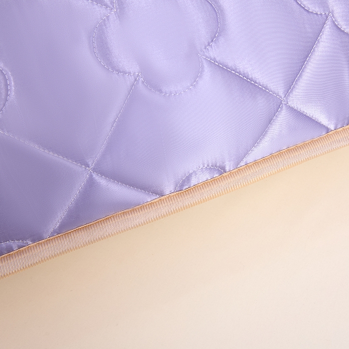 91家纺网 家纺一手货源 找家纺 梦舒羽 2025新款夏季冰丝凉感夹棉枕套单人一对装可水洗加厚枕头套宿舍48x74cm枕芯套 夹棉加厚-雪青色